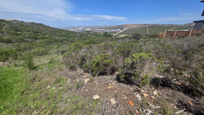 0 Bedroom Property for Sale in Seemeeu Park Western Cape